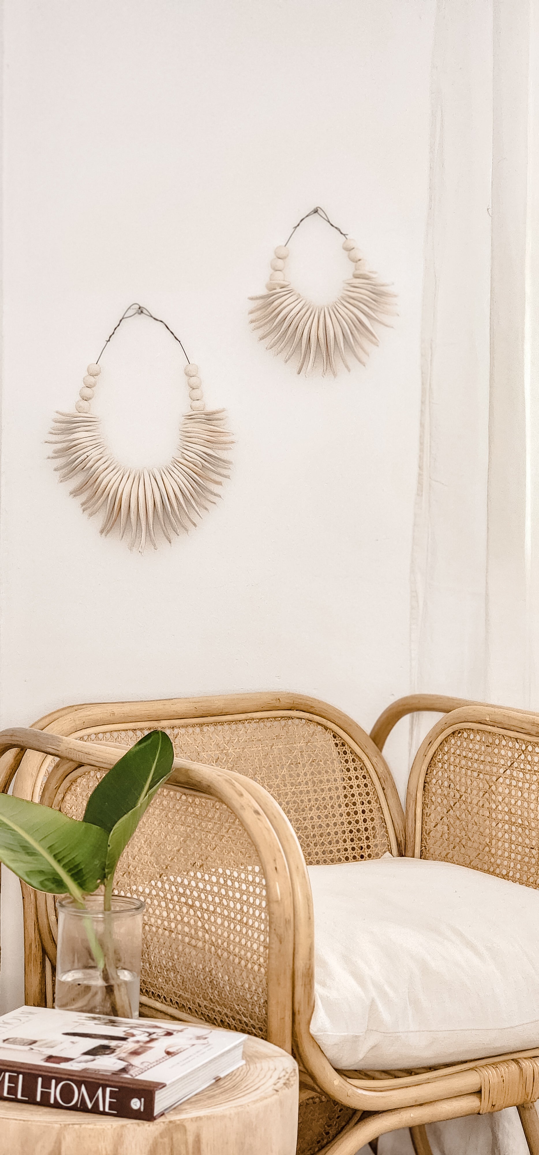cuttlefish wall hanging